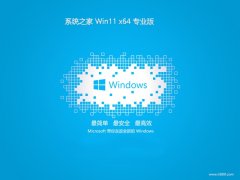 ϵͳ֮64λwin11ðv2025.05