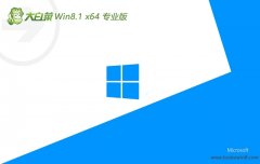 ײwin8.1 64λǿͳv2024.05