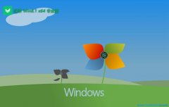 ̲ϵͳwin8.1רע64λv2025.05