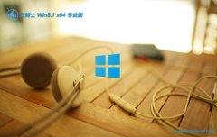 ʿ64λwin8.1߶޹v2025.05