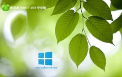 ƻϵͳwin11 64λ ⼤ɫv2025.05