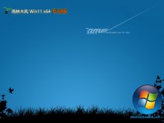 ľwin11 64λרóٰv2025.05