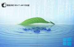 ϵͳv2025.05win11 64λ׼