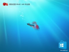 ѻ԰v2025.05win8.1 64λЯ