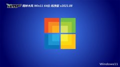 ľWindows11 64λ ô 2021.08