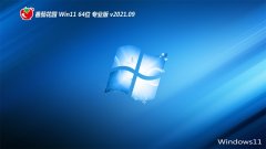 ѻ԰Windows11 64λ ͥװ 2021.09